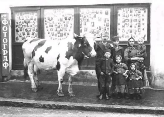 Слободан Стојичевић: Јадиковка бескорисног идиота